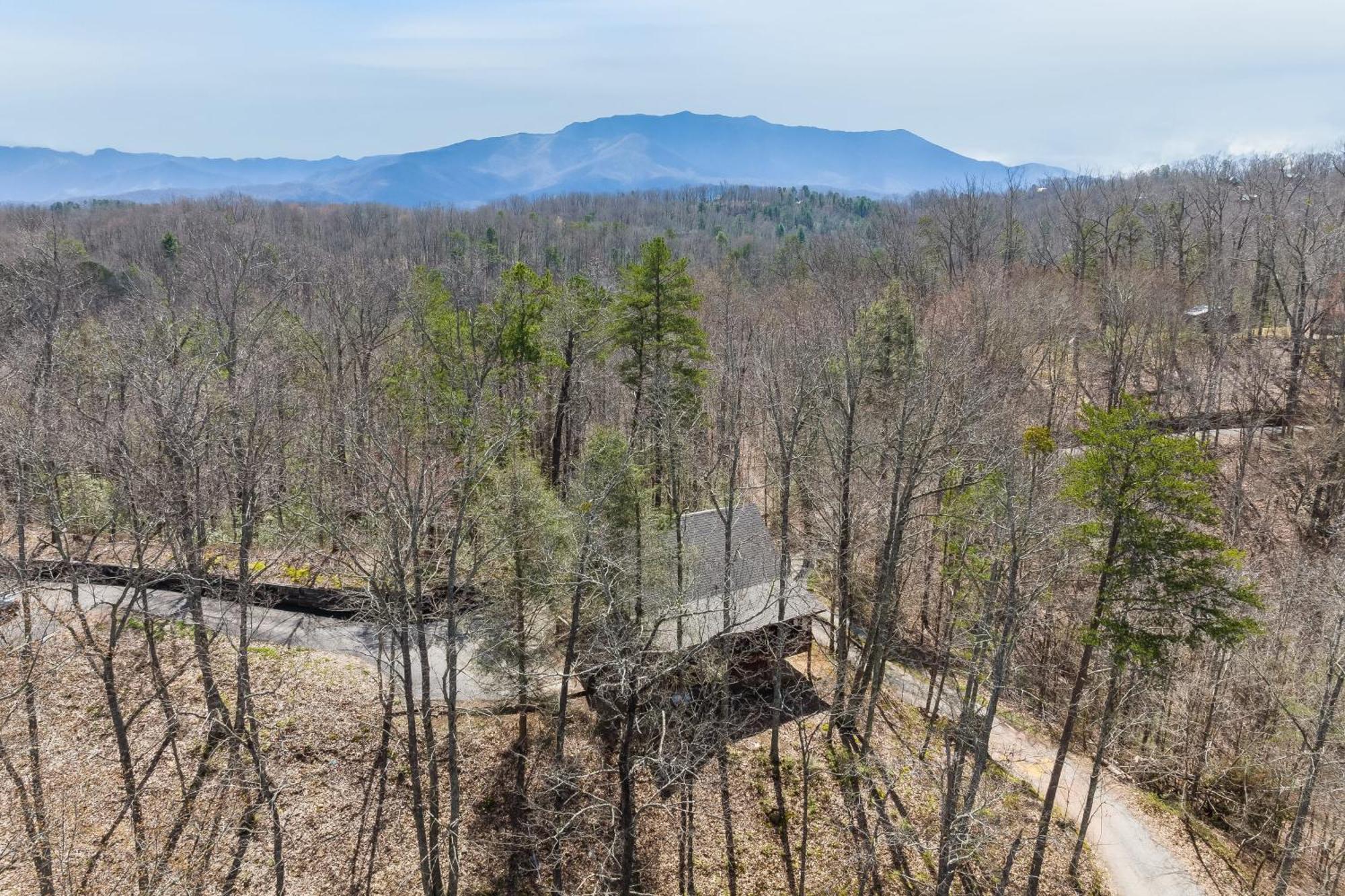 Dudley IV By Avantstay Cosy Cabin W Hot Tub Sweeping Views Пиджен Фордж Екстериор снимка
